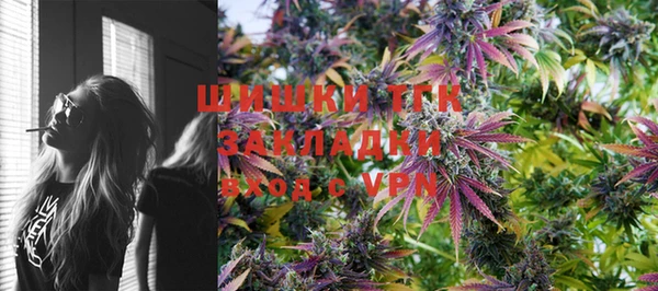 бошки Каменногорск