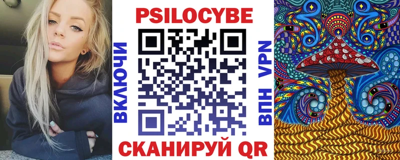 Купить закладки  Гаджиево  Галлюциногенные грибы Psilocybe 